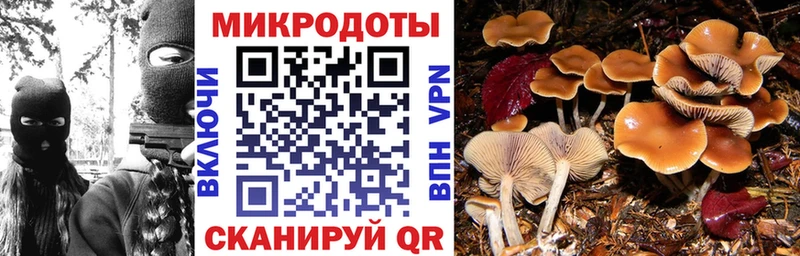 Галлюциногенные грибы Psilocybine cubensis Кувшиново