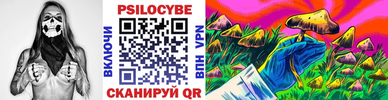 дарнет шоп  Кувшиново  Псилоцибиновые грибы Psilocybine cubensis 
